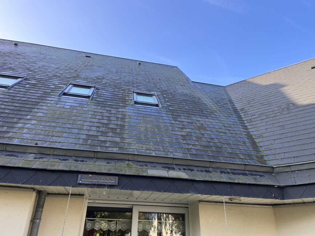 Toiture avant nettoyage – mousse et lichens sur ardoises à Cambes-en-Plaine