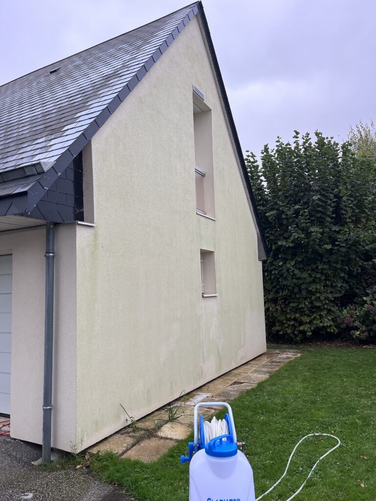 Façade en enduit avant nettoyage – mousse et algues vertes