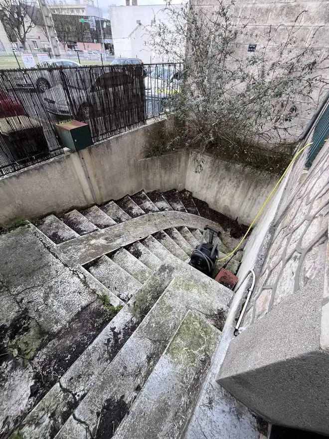 Escalier extérieur en béton avant nettoyage : marches et murets couverts de mousse et d'algues