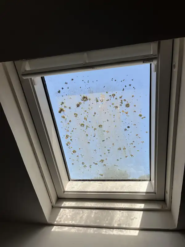Fenêtre de toit vue de l'intérieur avant nettoyage : dépôts jaunâtres incrustés sur le vitrage
