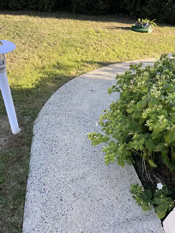 Même chemin en gravillons lavés plus d'un an après le nettoyage et le traitement antimousse, toujours propre